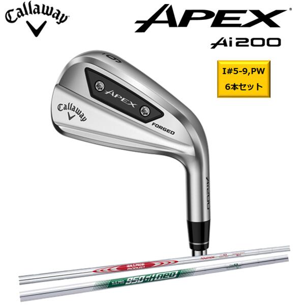 2024ǯǥۡ6ܥåȡۡڥեСץ쥼ȡCallaway APEX Ai200 IRON ڥå A...