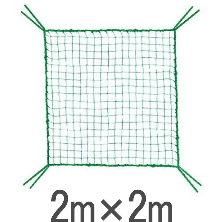 ライト M-124 ゴルフ練習ネット用 取替・補強 規格ネット（2m×2m） 【ゴルフ】