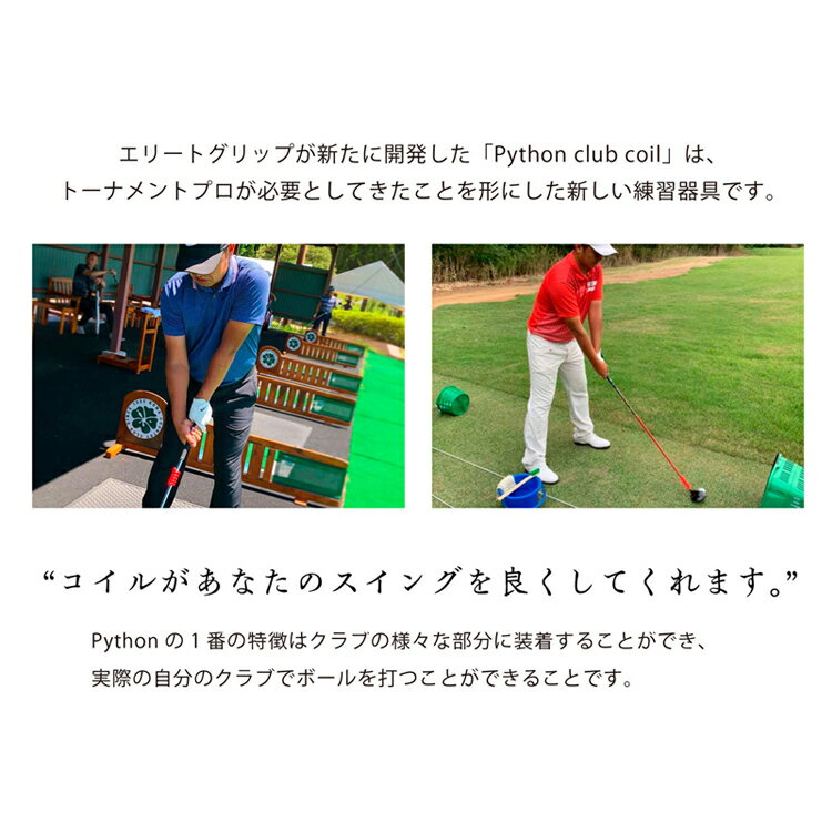 エリート（elite）パイソンクラブコイル40＆50 イエローパープル ウェイト スイン...