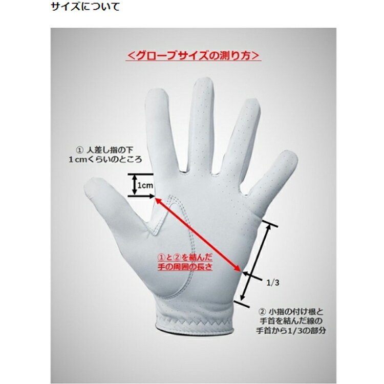 【メール便配送無料】【レビュー特典付】 フットジョイ ゴルフグローブ ピュアタッ...