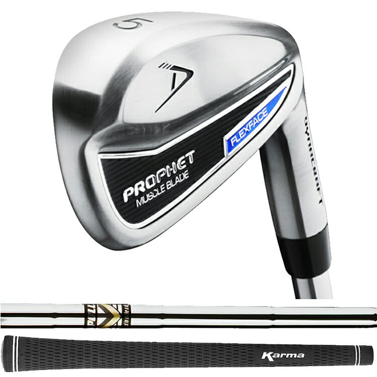 ダイナクラフト プロフェット マッスル (Dynacraft Prophet Muscle) 中空タイプ アイアンクラブ 右打..