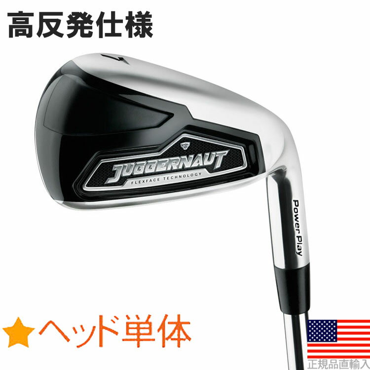 パワープレイ ジャガーノート アイアン ヘッド単体 右打用 高反発 Power Play Juggernaut Iron Clubhead IH3733A 【ゴルフ】