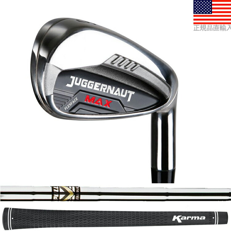 ڥȥ꡼ʥݥ3ܡۥ㥬Ρ ޥå  ʥ  Juggernaut Max Iron IS3...
