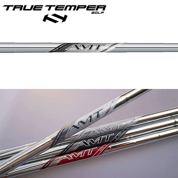 トゥルーテンパー AMT シルバー スチール アイアンシャフト (2025年モデル) 【#5-W/6本組】(True Temper AMT Silver Iron 2025 Ver.) (#5-#W/6pcs set)