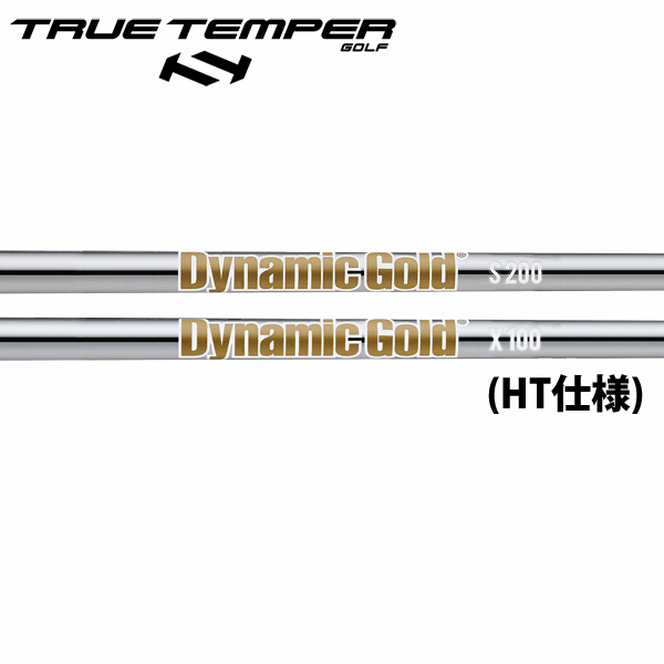 トゥルーテンパー ダイナミックゴールド スチール アイアンシャフト (ヒートトランスファー(HT)仕様) 【#5-W/6本組】 (True Temper DG Iron HT Ver.) (#5-#W/6pcs set)