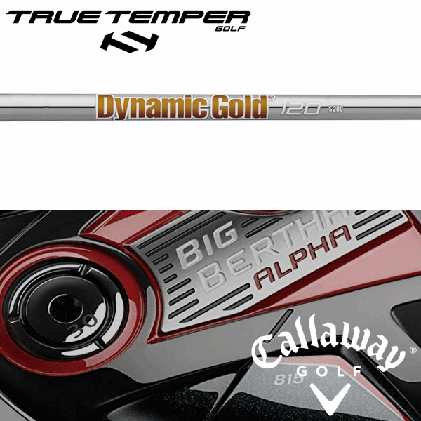 ƥ᡼ʻѡۡڥ ϥ֥å (2013-2018ǯǥ) ꡼奷եȡ ȥ롼ƥѡ ʥߥå 120   (True Temper DG 120 Iron)