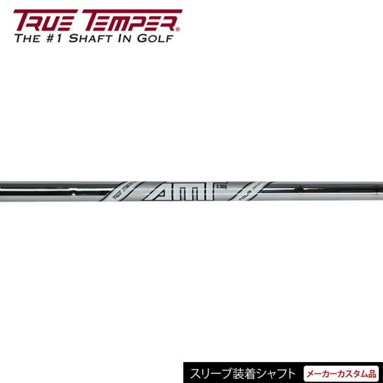  トゥルーテンパー AMT ツアー ホワイト （True Temper AMT TOUT WHITE） スチール アイアンシャフト 