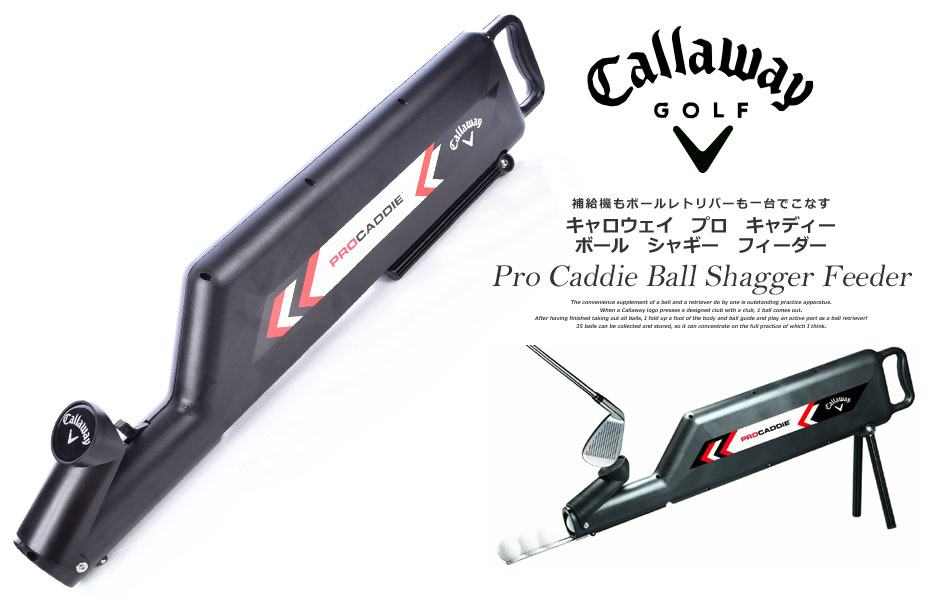 iObY̑jLEFC Callaway StANZT[  CALLAWAY v LfB[ {[ VM[ tB[_[ USAA yΉ