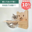 壁掛け 猫ボウル キャットステップ 穴あけ不要 完成品 NEKOIRI 耐荷重30kg キャットウォーク キャットハウス キャットタワー ネコベッド 大型ネコ ...