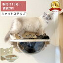 【取付け簡単！ 穴が目立たない】壁掛け 猫ボウル ステップ 石膏ボード 壁付け キャットウォーク アクリル カプセル 木製 足場 ストレス解消 猫 寝具 NEKOIRI