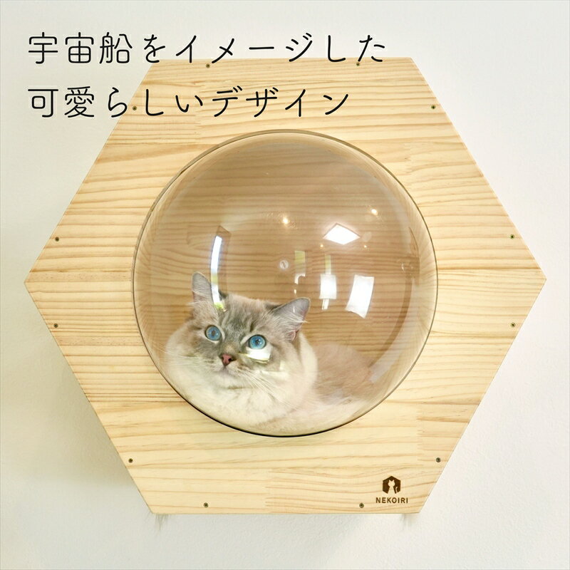 �ɳݤ� ����åȥ��ƥå� ϻ�ѥإ������� �ꤢ������ ������ NEKOIRI �Ѳٽ�30kg ����åȥ������� ����åȥϥ��� ����åȥ�� �ͥ��٥å� �緿�ͥ� ���� ������� ���մ�ñ �������� �ͥ������� ����OK ���ͼ�ž夲 �йѥܡ��� DIY ����ƥꥢ ���襤��