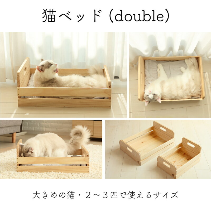 ���� �ͥ��٥å� ���֥륵���� 2��3ɤ�� NEKOIRI ŷ���� Ȣ�� �ͤ��ѥ٥å� ����åȥϥ��� ����åȥ٥å� �緿�ͥ� ¿Ƭ���� ���ͼ�ž夲 ��̲ ���� �ڥåȲȶ� ����ƥꥢ ������� ���襤�� �ڥå����� ǭ����