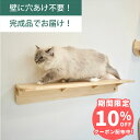 壁掛け 木製キャットウォーク 900mm ウッドステップ 穴あけ不要 完成品 NEKOIRI 耐荷重30kg キャットハウス キャットタワー 階段 大型ネコ 取...