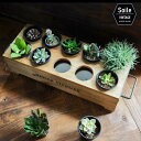 木箱 soile ソイル プランターボックス Planter Box ダークウォルナット ミニ鉢を10個セット 木製 プランター 日本製 木製ボックス ボックス ウッドボックス ビンテージ 加工 職人 ハンドメイド 男前 インテリア エクステリア お洒落 植物 DIY made in japan 送料無料