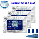 保冷剤 3個セット COOLER SHOCK クーラーショック Lサイズ キャンプ アウトドア クーラーボックス ランチボックス 春夏 秋冬