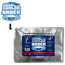 保冷剤 COOLER SHOCK クーラーショック Lサイズ キャンプ アウトドア クーラーボックス ランチボックス 春夏 秋冬