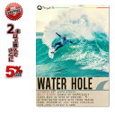 サーフィン SURF DVD WATER HOLE ケリー・スレーター パーコ カノア・イガラシ