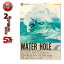 サーフィン SURF DVD WATER HOLE ケリー・スレーター パーコ カノア・イガラシ