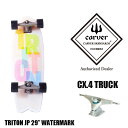 CARVERはこちらから □商品詳細 ■MODEL：TRITON JP/ Watermark ■サイズ:29インチ ■日本国内正規品/刻印・正規プレート付 -------------------------------- 【TRITON J...