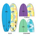 エントリーで全商品ポイント10倍 ソフトボード OCEAN&EARTH THE BUG SOFT 5'6 子供用 サーフボード サーフィン キッズ用 ユース用 ...