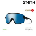 サングラス スミス SMITH Wildcat Matte Black (CP Polarized Blue Mirror & Clear) ワイルドキャット ...