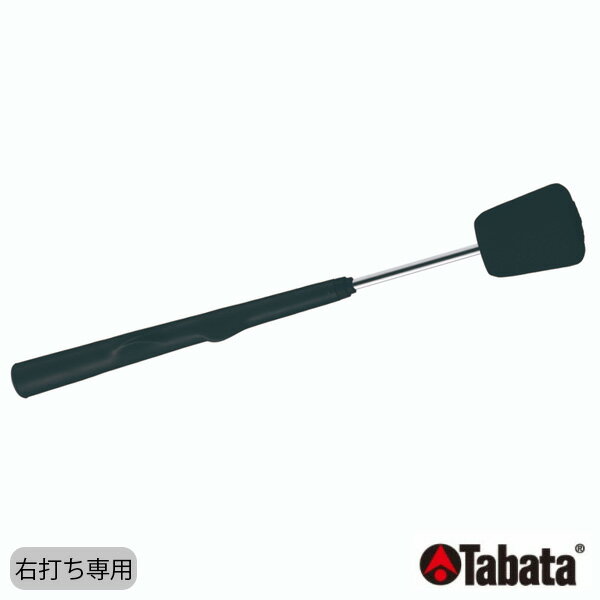 Tabata タバタ スイングトレーナー45 右打ち専用 GV0237