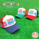 0̂P5{y4/30()0:00-5/1()23:59zyGWzu[eB[St ALOHA ON THE BEACH bVLbv BLUE TEE GOLF CP-006