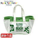 【残り1点!最終処分】【サンプル・訳あり品】【汚れあり・パッケージなしの為】BLUE TEE GOLF ブルーティーゴルフ ALOHA ON THE BEACH...
