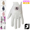 FootJoy フットジョイ グローブ NanoLock Lady ナノロックレディー 両手用 FGNL4PR レディース ウィメンズ
