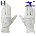 ワンダフルデーP5倍＆最大1500円クーポン【4/1(土)0:00-23:59】MIZUNO（ミズノ） 手袋／ダブルグリップ／両手 レディース 5MJWB101 ゴルフグローブ ホワイト ネイビー その1