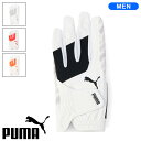 0̂P5{y4/30()0:00-5/1()23:59zv[} PUMA St PWR Obv O[u Y 041879