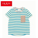 tシャツ エスケープ 11293514 ボーダーTシャツ キッズ 半袖tシャツ 130 子ども用 ボーダーtシャツ 半袖 子供服 男 ボーダー おしゃれ かわいい 男の子 80cm 90cm 100cm 110cm 120cm 130cm SKAPE