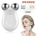 美顔ローラー マイクロカレント 美顔器 微弱電流 フェイスケア マッサ...(4)