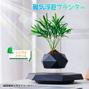 磁気浮上式植木鉢 上部給水植木鉢 磁気浮遊プランター ミニ植木鉢 観葉植物 多肉植物 浮く 空中 園芸 ガーデニング 植木鉢 磁気 浮遊 室内園芸 卓上 サイズ...