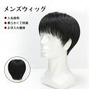 ウィッグ 全頭かつら 人毛100% かつら フルウィッグ 男性用 伸縮性黒ネット ウィッグ メンズ 自然 ウィッグ ウィッグ ヘアピース 医療用ウィッグ 薄毛隠...