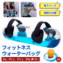 ウォーターバッグ 省スペース 体幹トレーニング コアトレーニング 5kg-20kg サイズ 専用フットポンプ付き 筋力 筋トレ トレーニング器具 運動器具 筋ト...