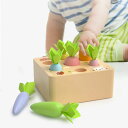 にんじん 型あわせ パズル モンテッソーリ教具 木のおもちゃ おままごと 知育玩具 ニンジンボードゲーム モンテッソーリ 木製ニンジンおもちゃ 木製玩具 おまま...