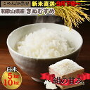 【新米】和歌山県産 令和7年 新米 きぬむすめ 精米 5kg 10kg 米 農家直売 農家直送 通販 精米 直送 白米 色彩選別済 ツヤツヤ もちもち 上品 甘...