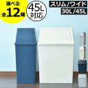【全12種】ゴミ箱 45リットル 30L~45L スリム おしゃれ 分別 キッチン ダストボックス 臭わない 約幅30cm ふた付き リビング 30リットル 大きい 袋が見えない 薄型 2段 大容量 縦型 キャスター付き フロントオープン 缶 ビン ペットボトル( 平和工業 積み重ねゴミ箱 )