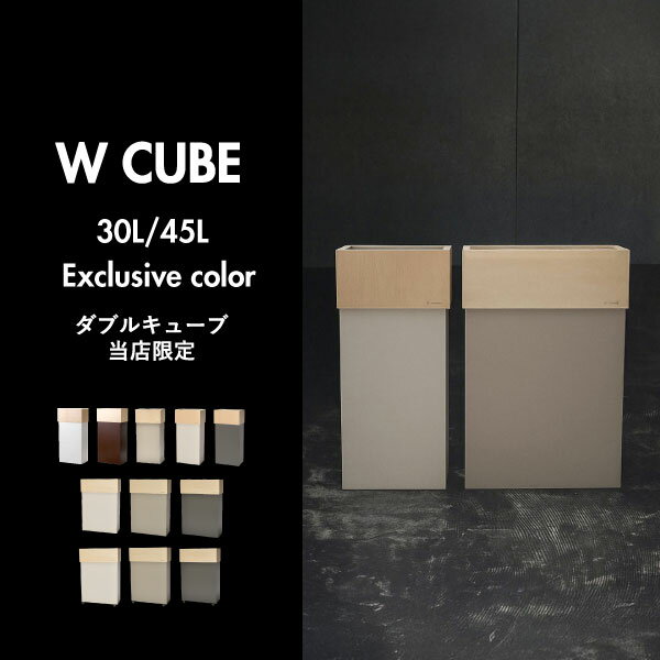 【特典2個付き】【当店限定カラー】【全11種】 分別ゴミ箱 45l おしゃれ コンパク...