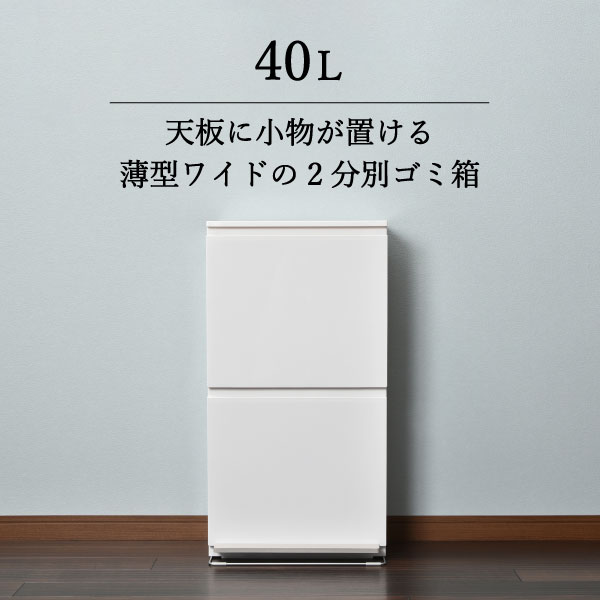 ゴミ箱 45リットルゴミ袋対応 おしゃれ ふた付き ペダル式 スリム 2段 40リットル キッチン 生ゴミ 縦型 リビング 袋見えない 中身隠せる インテリア雑貨 スマート 北欧 かわいい いたずら防止 省スペース 隙間収納 転倒防止( 分別ダストボックス ペダル2段ワイド 40L )