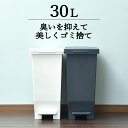 ゴミ箱 おしゃれ キッチン ペダル式 小さい 生ごみ におわない ペット トイレ 赤ちゃん オムツ ふた付き 袋 見えない 30リットル 防臭 ごみ箱 ダストボックス 日本 リビング シンプル インテリア雑貨 北欧 ホワイト ブラック 白 黒( エバンMP 密閉ペダルペール 30L )