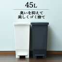 ゴミ箱 45L袋可 おしゃれ 45リットル袋可 密閉 キッチン 生ごみ 45リットル ペダル ペット トイレ 赤ちゃん オムツ ふた付き 幅 30cm 袋 見えない ダストボックス 日本 リビング シンプル インテリア雑貨 北欧 ホワイト ブラック 白 黒(エバンMP 密閉ペダルペール 45L)