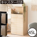 ゴミ箱 おしゃれ 45リットル 45L キッチン リビング ふた付き プッシュ式 スイング式 フロントオープン スリム 茶色 ブラウン 黒 ブラック ナチュラル 角型 ごみ箱 ダストボックス 大容量 袋が見えない 北欧 インテリア雑貨( 木目調スイング式ダストボックス ダブル )