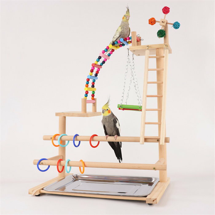 Rakuten - インコ 遊び場 三層 バード アスレチック 玩具 スタンド 止まり木 はしご 鳥 巣 カゴ 遊園地 秋千 ラダー ベル 鳥の巣 鳥栖 オウムブランコ 文鳥 セキセイインコ 鳥グッズ
