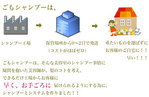 洗い流さないトリートメントヘアオイル洗い流さないクロエの香水の様なローズソープの香りのごもプレミアムヘアオイル100ml約500プッシュ控えめローズソープの香りごもプレミアムヘアオイル日時指定不可