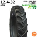 BKT トラクター 農業用・農耕用 バイアスタイヤ(チューブタイプ) FARM SPECIAL 12.4-32 PR8 2本セット