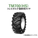 トレルボルグ トラクター 農業用・農耕用ラジアルタイヤ（チューブレスタイプ）　TM700(HS) (70%扁平)　480/70R38　2本セット