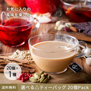選べるティーバッグ 20個Pack 送料無料 ティーバッグ ティーパック アイスティー 水出し マイボトル ボトル用 お茶 紅茶 日本茶 緑茶 中国茶 ハーブティー 健康茶 チャイ ミルクティー ノンカフェイン