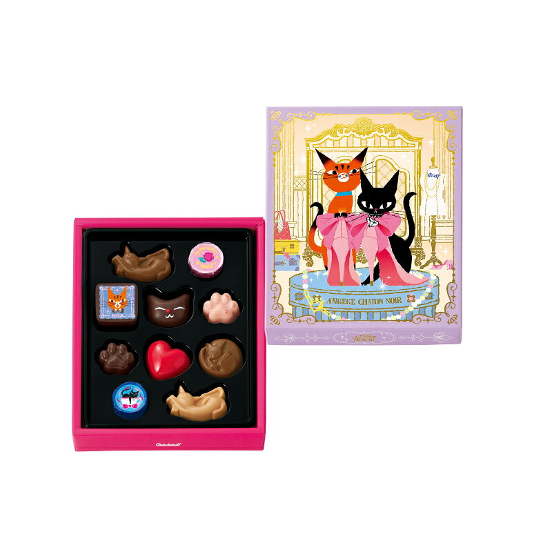 504 ���󥸥奸�� D 10�ġ����������� ���󥸥奸�� �Х�󥿥���2026 ���祳�졼��